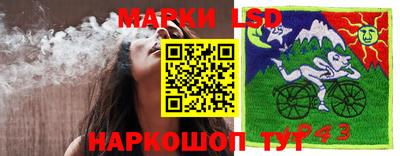 mdpv Дубна
