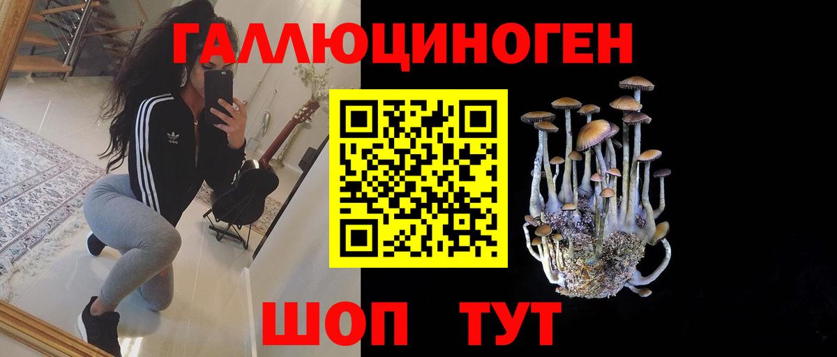 Псилоцибиновые грибы Psilocybe  Вход с VPN  Смоленск  Псилоцибиновые грибы прущие грибы 